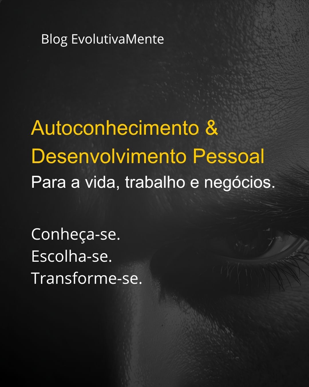 banner-blog-evolutivamente-responsivo